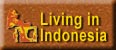 Living in Indonesia, A Site for Expatriates