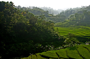 Living Outside Jakarta Living Outside Jakarta
