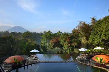 MesaStila Pool