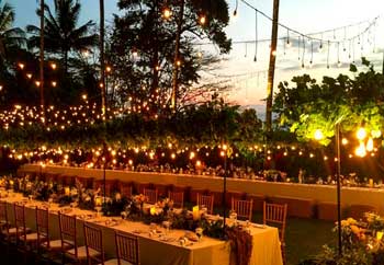 Wedding Dinner for Guests