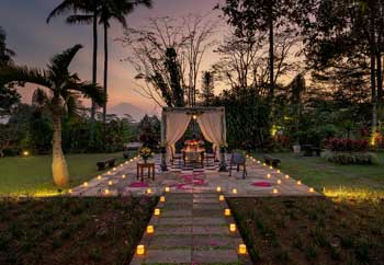 Intimate Wedding Dinner
